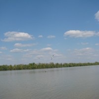 River gulls triangle on the Danube