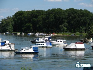 Zemun quay