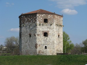 Nebojša tower